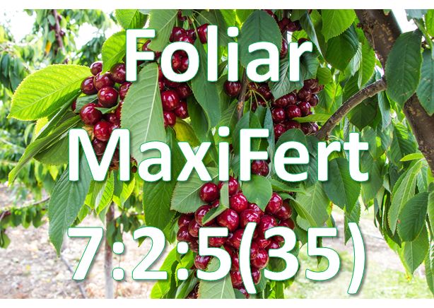 Foliar - Maxifert 7:2:5(35) Foliar - Maxifert 7:2:5(35)