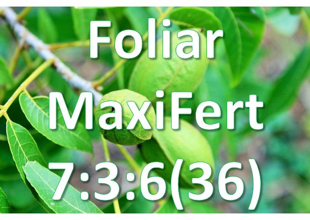 Foliar - Maxifert 7:3:6(36) Foliar - Maxifert 7:3:6(36)